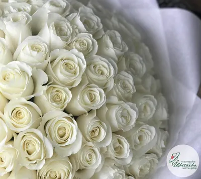 Букет белых роз - 80 см. за 4 890 руб. | Бесплатная доставка цветов по  Москве