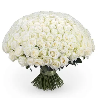Букет из 19 белых роз 60 см купить в Краснодаре с доставкой | Vanilla
