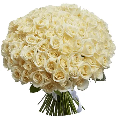 Купить Букет из 27 белых российских роз в Краснодаре