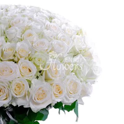 Заказать Букет белых роз \"Моей Мисс\" в Киеве
