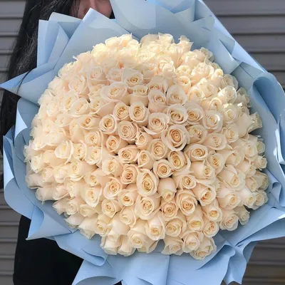 Белые розы в коробке (XXL) от 215 роз - купить в интернет-магазине Rosa  Grand