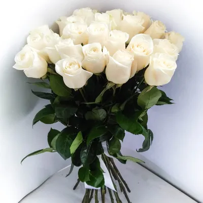 Купить Классический букет из белых роз (50 см) model №683 в Новосибирске