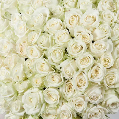 Белые розы в большой черной коробке - 32398 букетов в Москве! Цены от 707  руб. Зеленая Лиса , доставка за 45 минут!