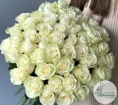 Купить Большой букет из 101 белой розы «Pingüina» в Нижнем Новгороде
