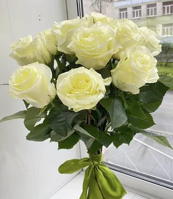 Белые розы поштучно