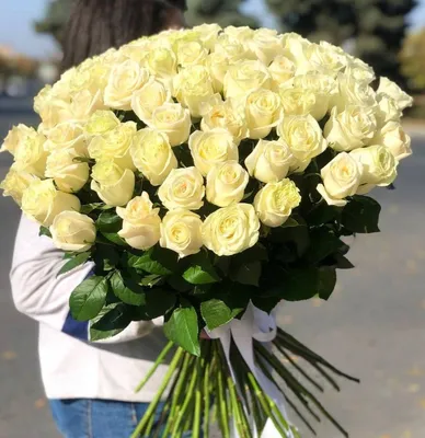 33 белые розы (60 см) – купить оптом и в розницу в Москве и Московской  области – Городская База Цветов