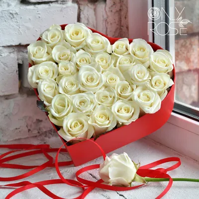 Букет белых роз | Flowers, Plants, Rose