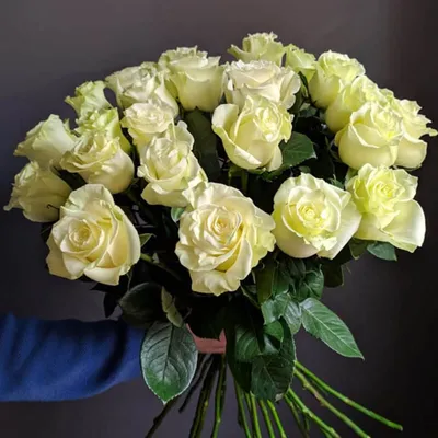Белые розы. 10 сортов красавиц для вашего сада. | Люблю дачу. | Дзен