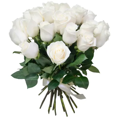 Белые розы Арарат (Ararat) поштучно 💐| Купить Цветы в Майкопе