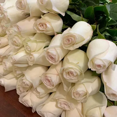 Букет из букет из 11 роз white o'hara по цене 4476 руб. заказать с  доставкой по Москве - свежие цветы от интернет-магазина \"Во имя розы\"