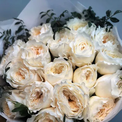 Белые розы Аваланш 60 см поштучно от 51 руб./шт. Купить цветы.