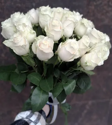 Большие белые розы в коробке | купить недорого | доставка по Москве и  области | Roza4u.ru