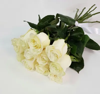 Белые розы (Эквадор), сорт \"Мондиаль\" - магазин \"Свежие розы Пермь\"