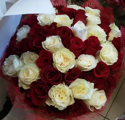 Розы поштучно в Москве! Купить цветы.