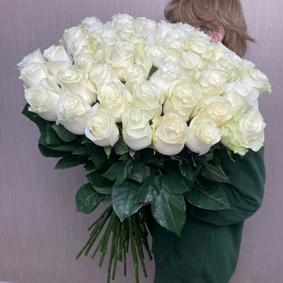 Белые розы 5 сортов. Белое восхищение! Покорят всех обильным цветением. -  YouTube
