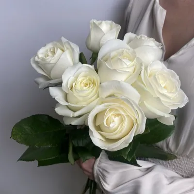 25 белых роз Мондиаль / Mondial (Эквадор) - доставка цветов Пермь