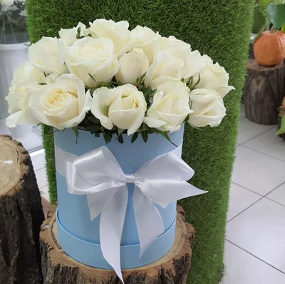15 белых роз в шляпной коробке доставка в Ярославле | ВашБукет76