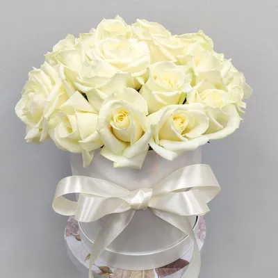 31 белая роза премиум в коробке «Floward»