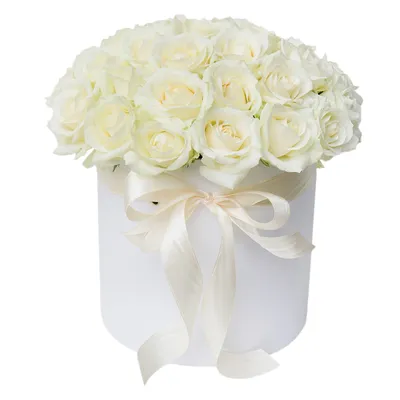 Букет из 25 белых роз premium в черной шляпной коробке - купить в Москве по  цене 3290 р - Magic Flower