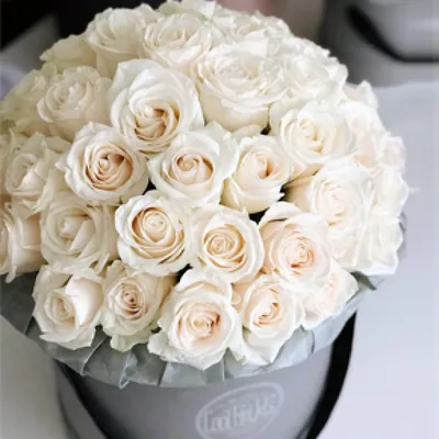 Розовые и белые пионовидные розы в коробке - Доставкой цветов в Москве!  16884 товаров! Цены от 487 руб. Цветы Тут