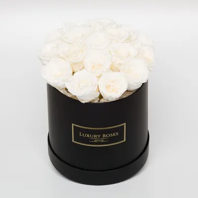 Букет 17 белых роз в шляпной черной коробке - Luxury Roses Спб