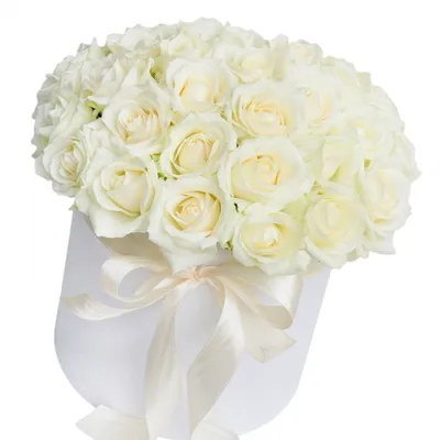 Белые розы в шляпной коробке 51 штука | Купить в СПб за 9000 руб
