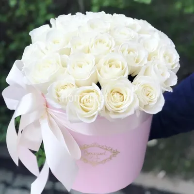 Заказать 25 белых роз в шляпной коробке \"Алекса\" в Киеве