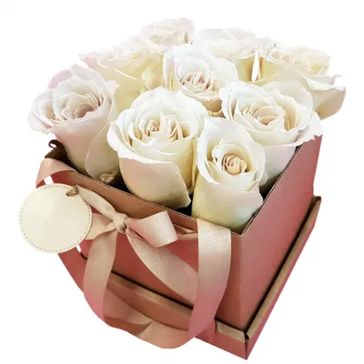 Белые розы в чёрной коробке (S) 31-35 роз - купить в интернет-магазине Rosa  Grand