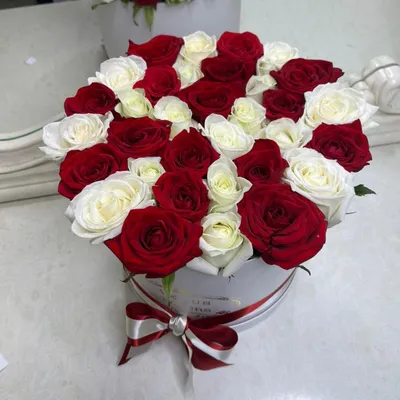 Only Rose — идеальные розы в коробке | Купить свежесрезанные белые розы в  коробке «Меренга»