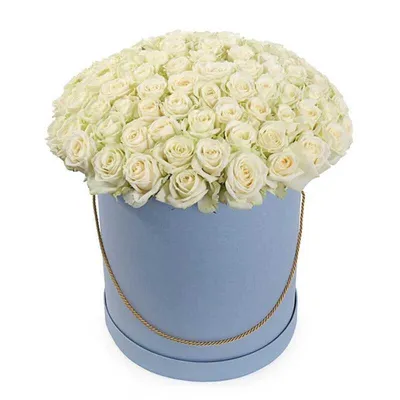 Белые розы в маленькой и средней черной коробке купить с доставкой в Москве  | Заказать букет цветов недорого
