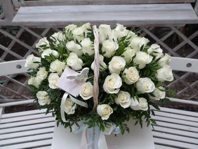 Белые розы в корзине фото фотографии