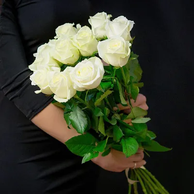 Девушка с белыми розами | Белые розы, Розы, Цветы