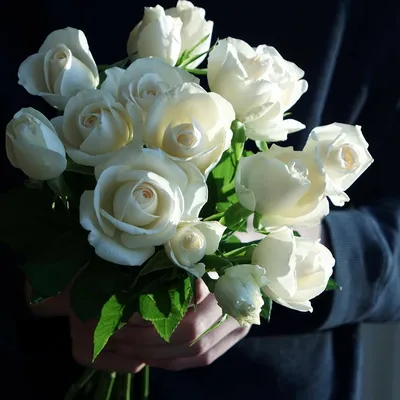 Букет 15 белых роз 35 см в упаковке с доставкой на дом в Санкт-Петербурге.  Заказать нежный букет из белых розочек.