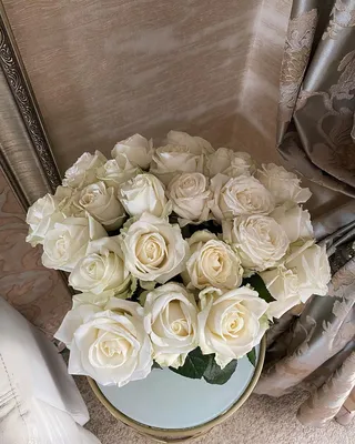 Белые розы в руках фото фотографии