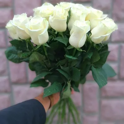 Беззащитные белые розы в руках …» — создано в Шедевруме