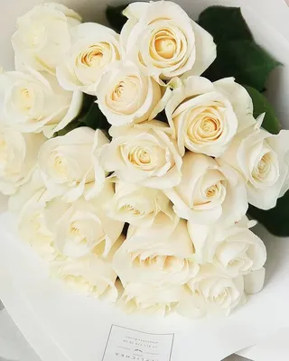 Букет из 25 белых роз 50 см Кения- купить в СПб с доставкой в интернет  магазине \"Цветочкин\"
