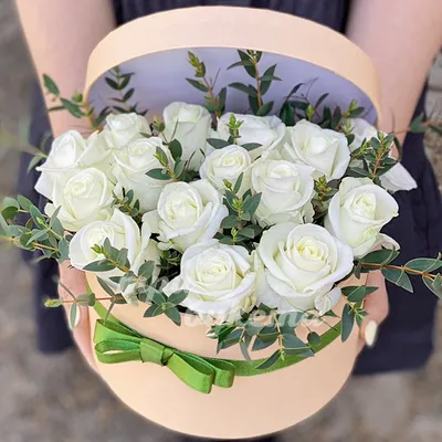 Свежие красивые белые розы Wedding букет в руках Groom близко Стоковое  Изображение - изображение насчитывающей способ, замужество: 67003467