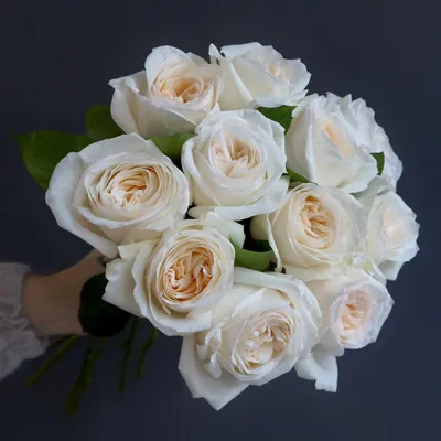 Белые розы с эвкалиптом в коробке за 4490 ₽ с доставкой по Москве