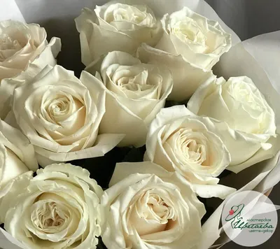 Morandi настоящие белые розы на ощупь, искусственные цветы, специальная  цветная Роза Morandi, идеально подходит для композиции своими руками,  свадебные цветы | AliExpress