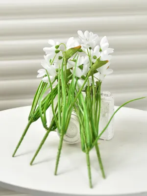 Пин от пользователя Pelssy на доске Plants | Белые розы, Красивые розы,  Цветы на рождение