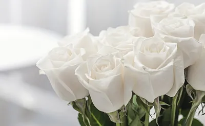 Красивые белые цветы в качестве фона Стоковое Изображение - изображение  насчитывающей украшение, естественно: 163855435