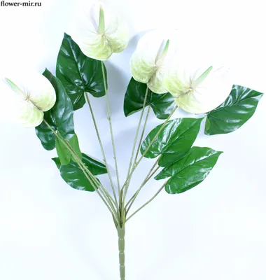 Купить Искусственные букеты гладиолусы розовы и белые 2 шт. 70 см  /декоративные цветы на кладбище, на пасху по выгодной цене в  интернет-магазине OZON.ru (916585039)