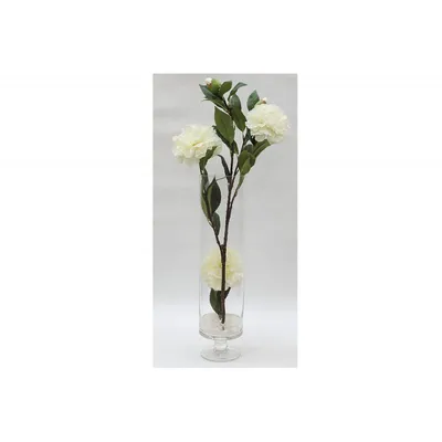 Нежно белые садовые розы с …» — создано в Шедевруме