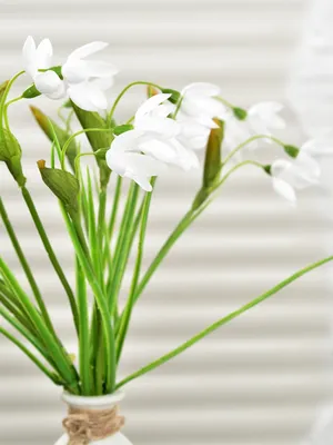Купить Цветы искусственные \"Ирис Белый\", 40 см / Букет ирисов /  Декоративные цветы для дома/Цветы искусственные на кладбище по выгодной  цене в интернет-магазине OZON.ru (587610838)