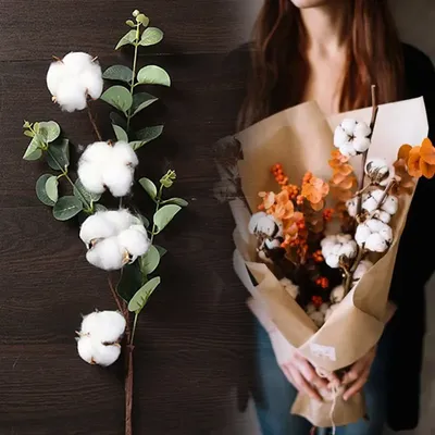 Садовые Розы, Белые, Цветы - минималистичные обои на телефон, | Бесплатные  Лучшие фото