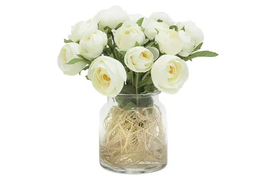 Красивые цветы лилии на белом. Роскошный белый цветок водяной пасхи с  зеленым стержнем изоляции на белом фоне. Стоковое Изображение - изображение  насчитывающей зеленый, цветки: 179450371