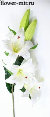 Купить Декоративные цветы Лилии белые и гортензии в керамической вазе  производства Dream Garden в интернет-магазине Мята
