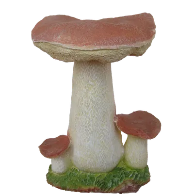 File:Белый древесный гриб.jpg - Wikimedia Commons