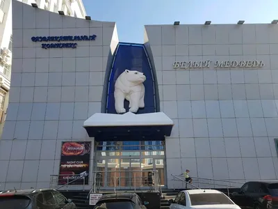 [29+] Белый медведь саранск фото