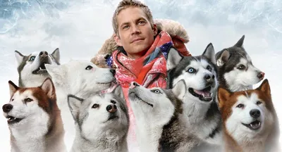 Белый плен (Blu-ray) (Eight Below) – Bluraymania